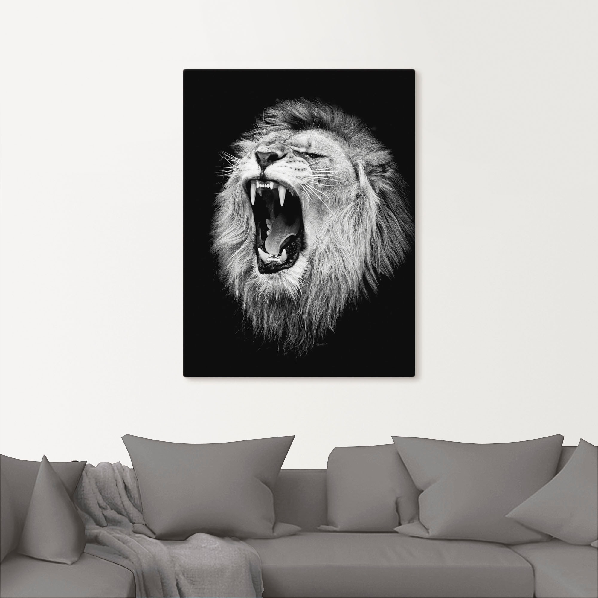 Artland Wandbild »Der Alubild, Poster (1 Jelmoli-Versand als | oder kaufen Löwe«, in Wandaufkleber Wildtiere, Grössen St.), versch. Leinwandbild, online