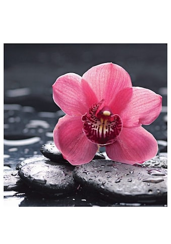 Home affaire Glasbild »Still life with pepple and macro of orchid with water drops«,... kaufen