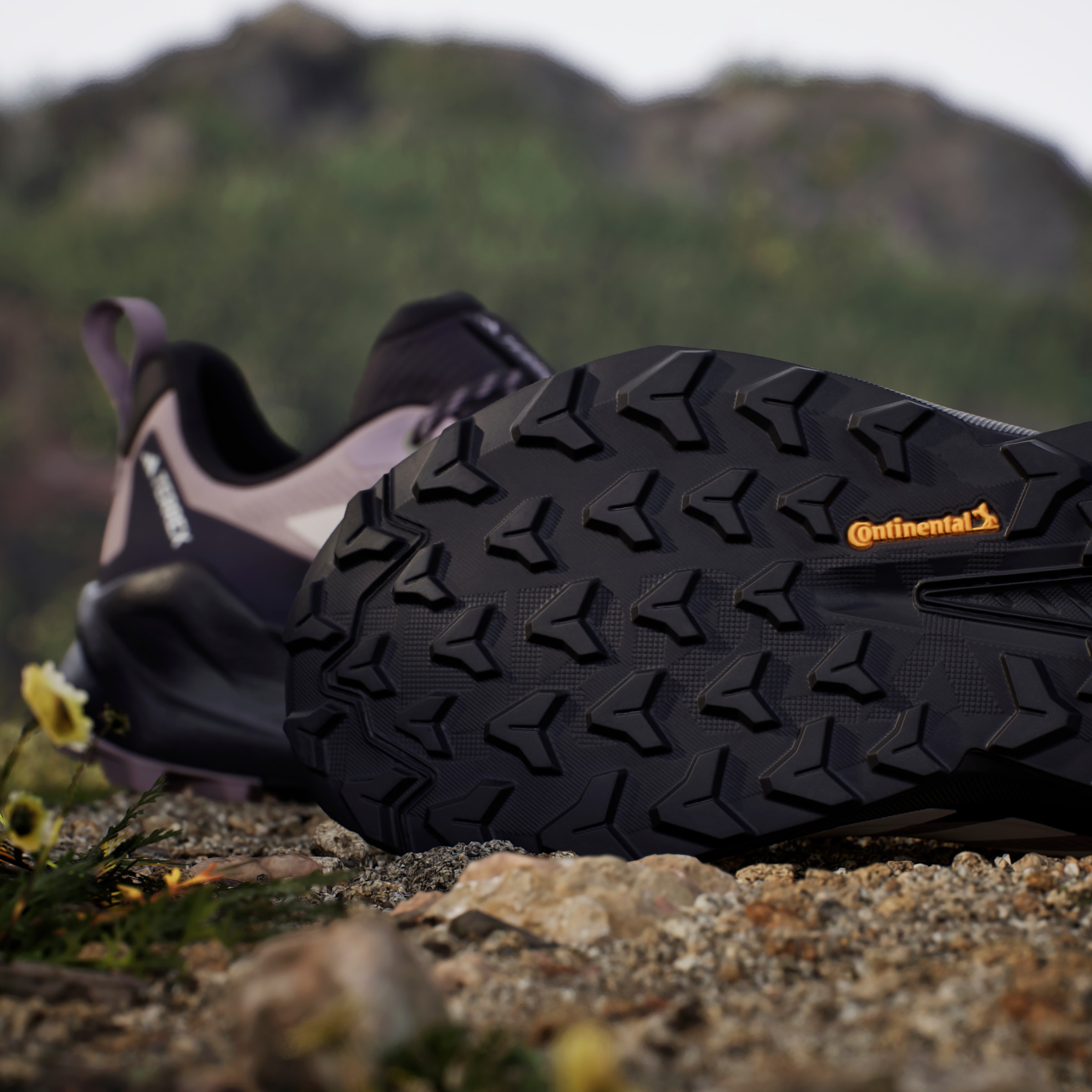 adidas TERREX Wanderschuh »TERREX TRAILMAKER 2.0 GORE-TEX«, wasserdicht