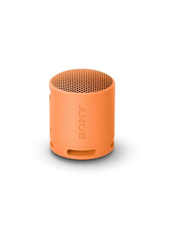 Bluetooth-Speaker