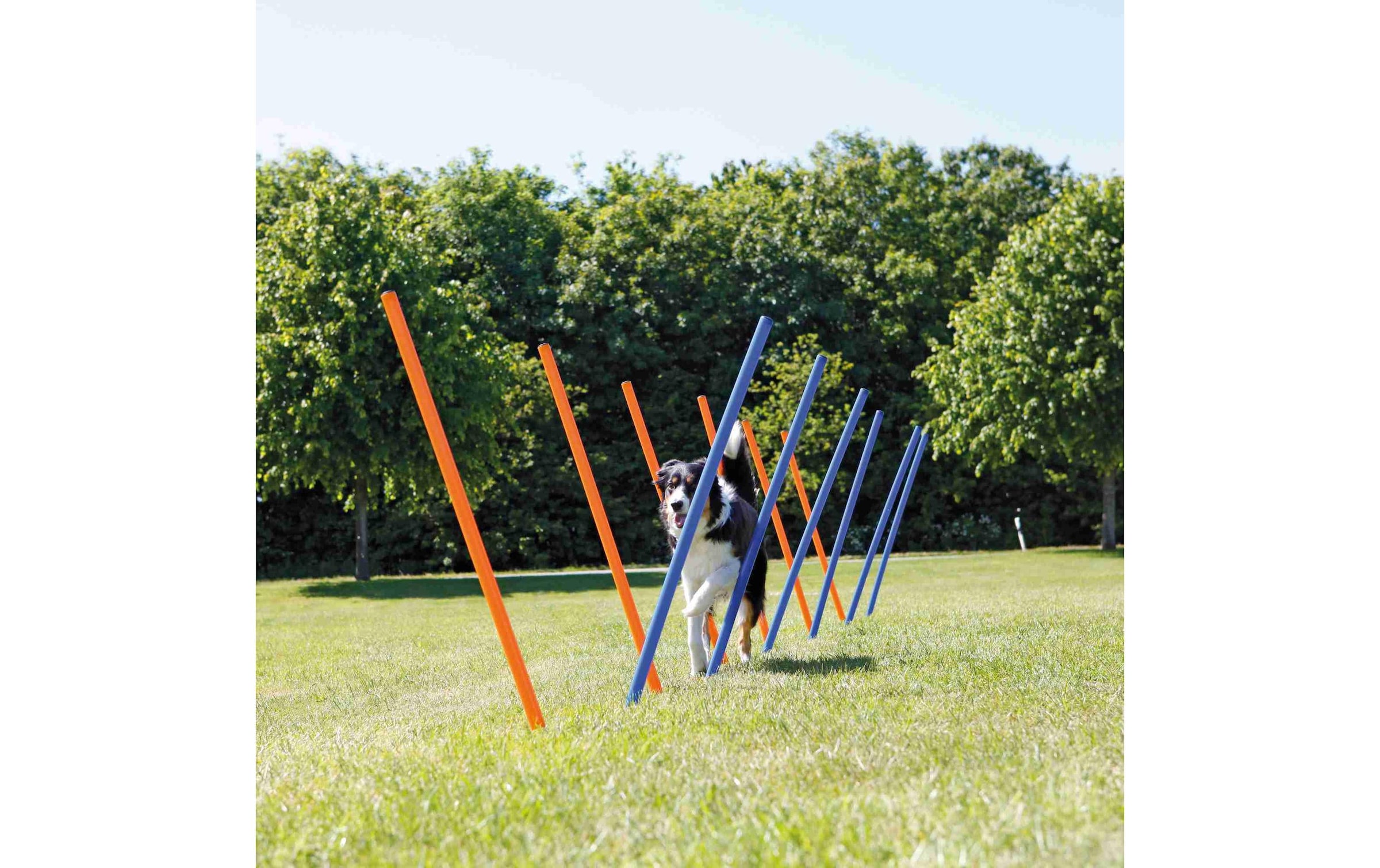 TRIXIE Agility-Slalom »Agility Slalom Dog Activity Set, 12 Stangen«, Kunststoff