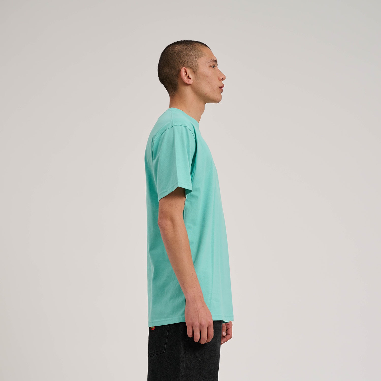 Santa Cruz T-Shirt »DILLON SHORTS«, (1 tlg.)