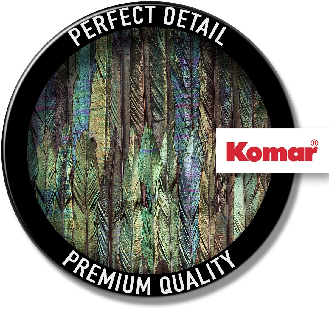 Komar Vliestapete »Digitaldruck Vlies - Dark Wings - Grösse 200 x 250 cm«, bedruckt, Wohnzimmer, Schlafzimmer