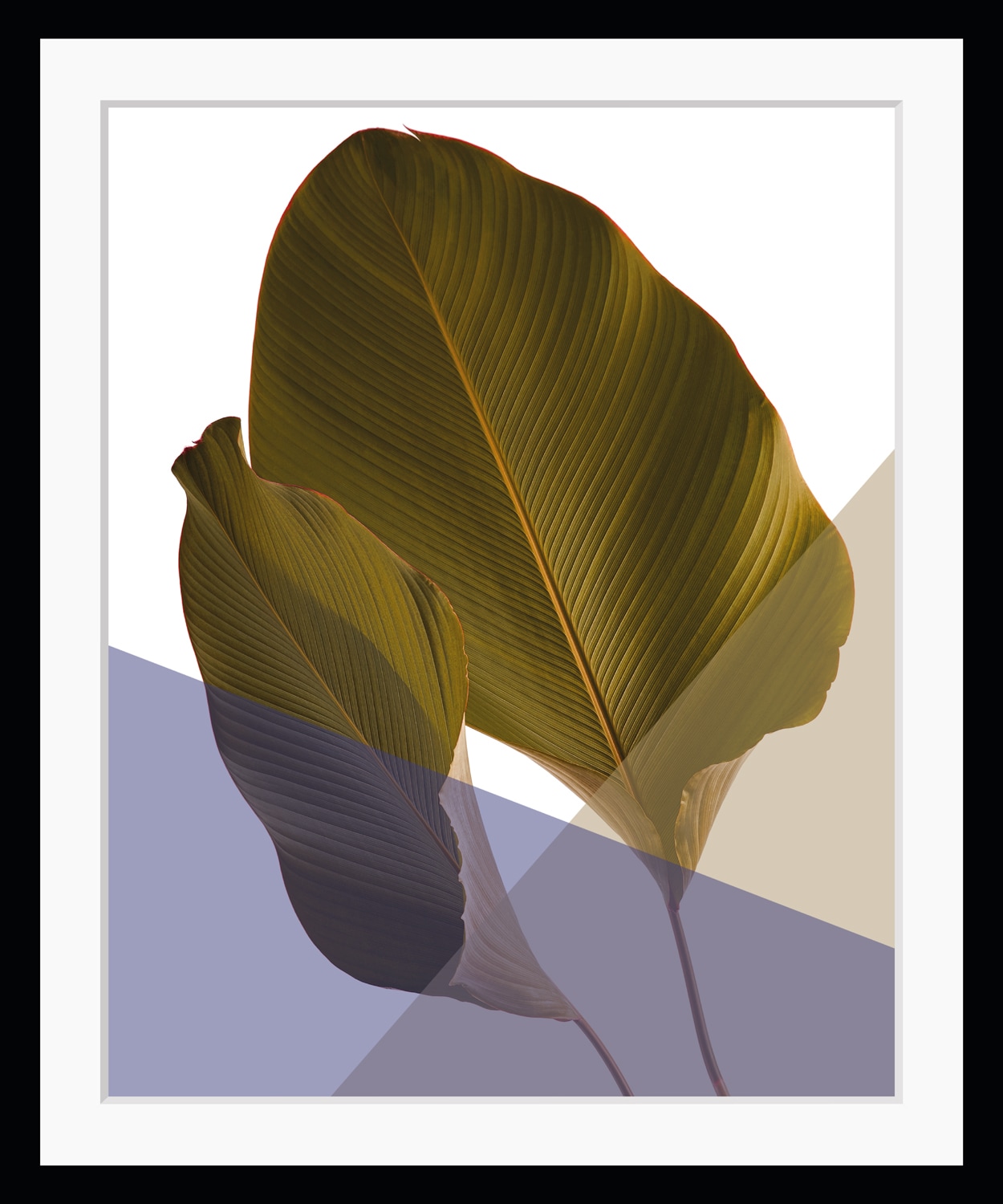 queence Bild "Moritz" Abstrakt Blätter Figuren Kunst Pflanzen Pflanzenbilder HD Premium Poster-Druck inkl. Holzrahmen