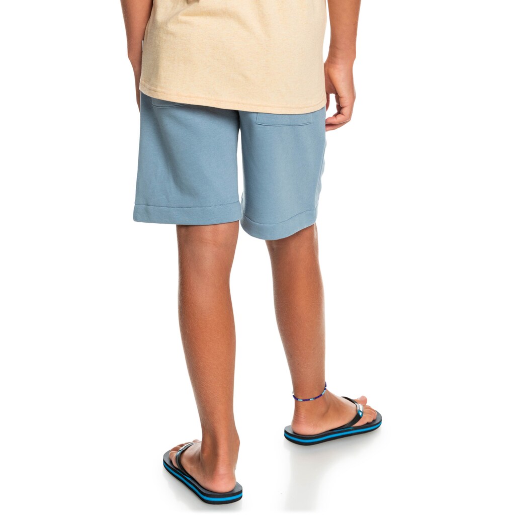 Quiksilver Trainingsshorts »Stir Roots Up 17"«