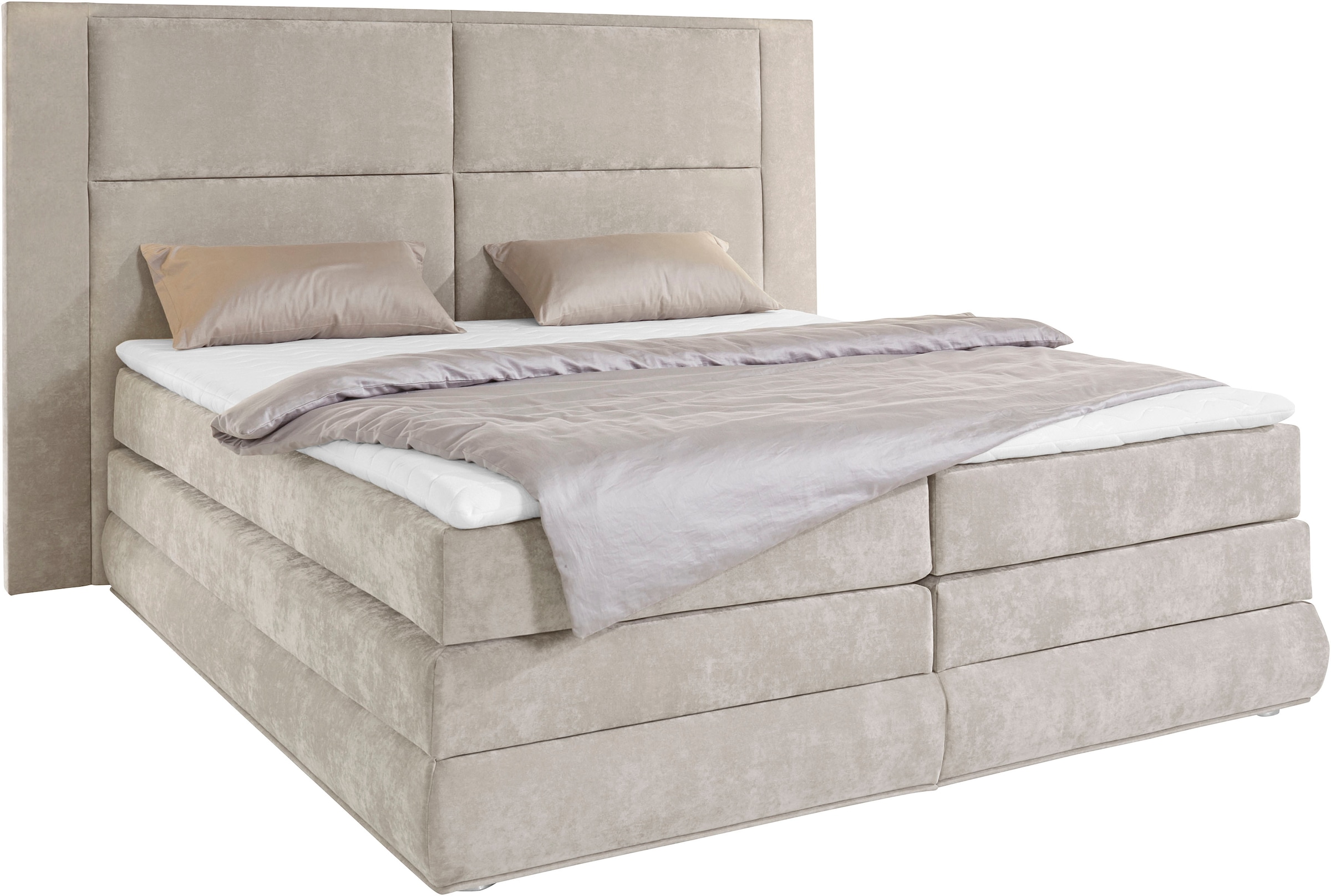 COLLECTION AB Boxspringbett Copenhagen, inklusive Bettkasten und Topper, wahlweise mit LED-Beleuchtung