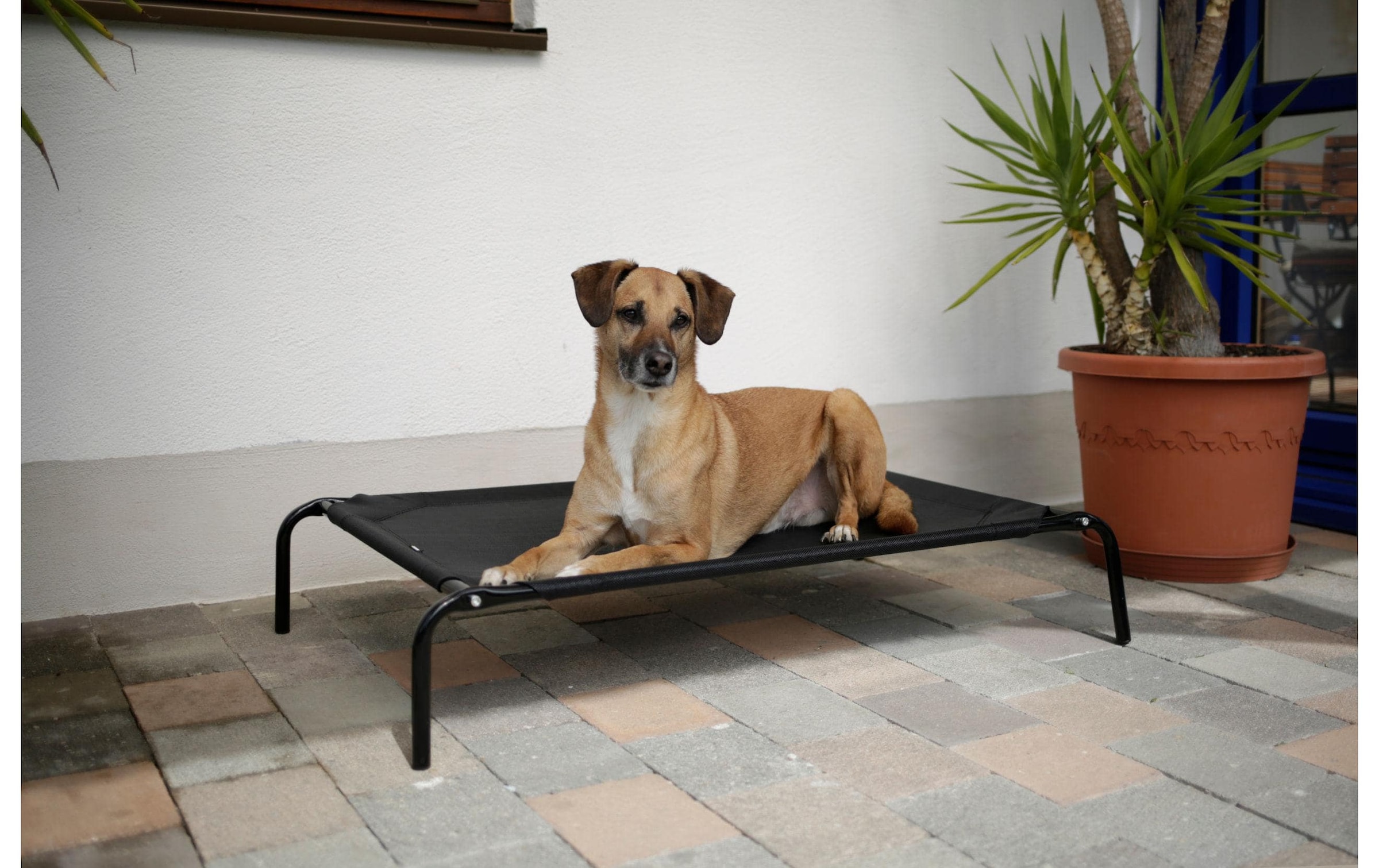 Kerbl Tierbett »Vacation 107 cm x 65 cm x 20 cm«