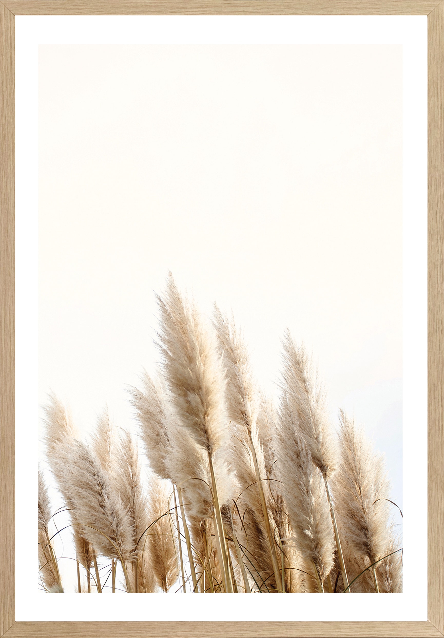 online Gräser, (1 50x70 cm St.), Bönninghoff »Trockenblumen«, BxH: Rahmen kaufen | Bild mit Jelmoli-Versand