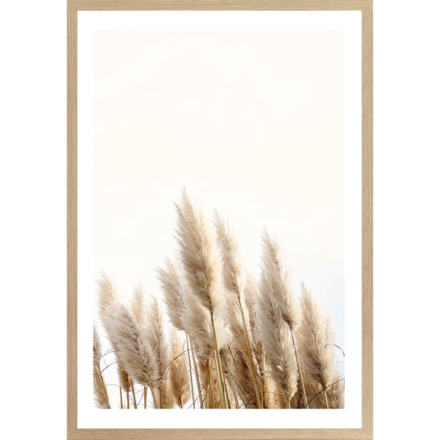 Bönninghoff Bild mit Rahmen »Trockenblumen«, Gräser, (1 St.), BxH: 50x70 cm  online kaufen | Jelmoli-Versand