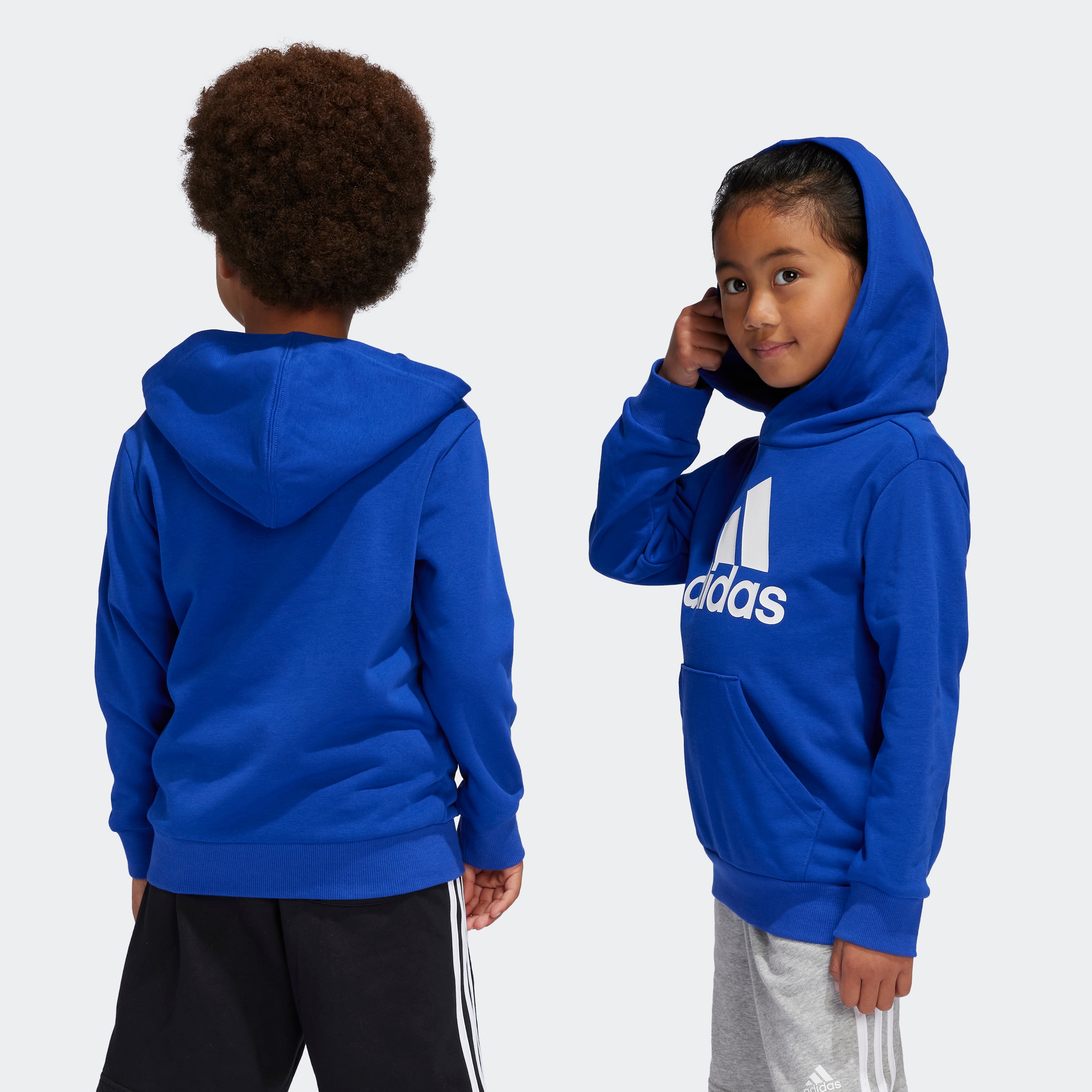 adidas Sportswear Kapuzensweatshirt »LK BL FT HD«