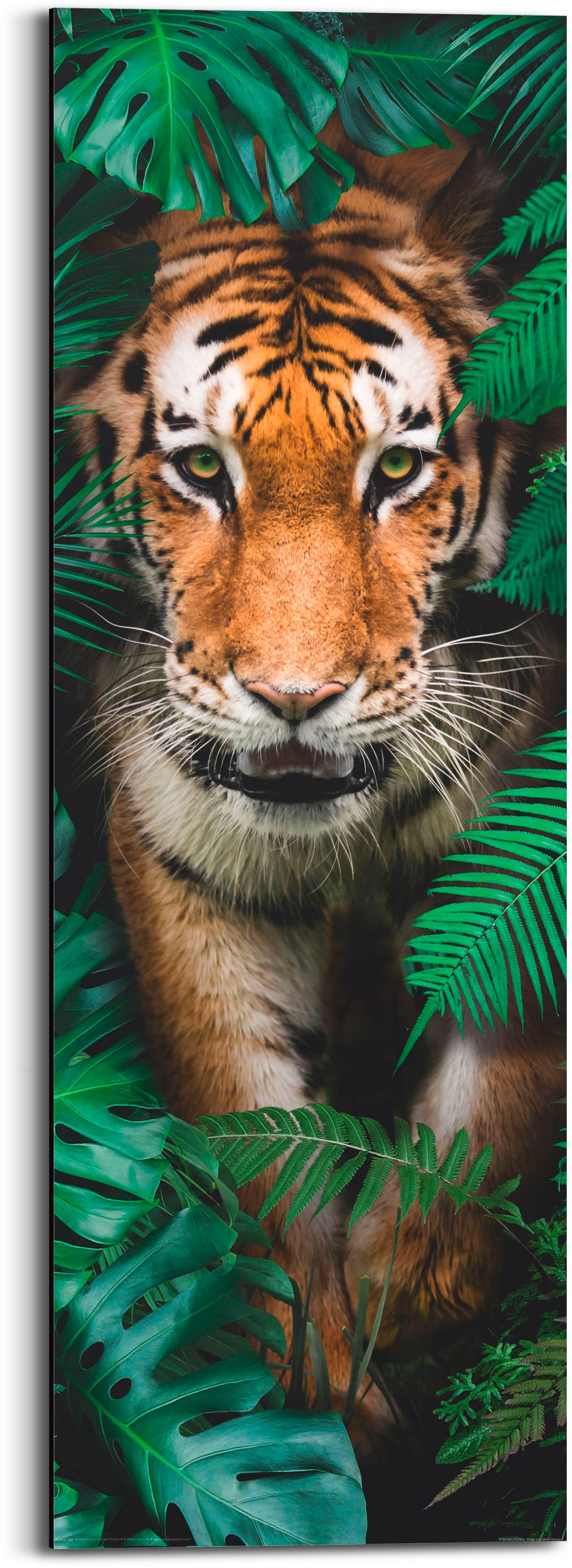 ❤ Reinders! Holzbild »Walking Tiger«, (1 St.) kaufen im Jelmoli-Online Shop
