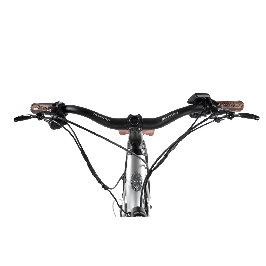 ALLEGRO E-Bike »Invisible Al«, Heckmotor 250 W