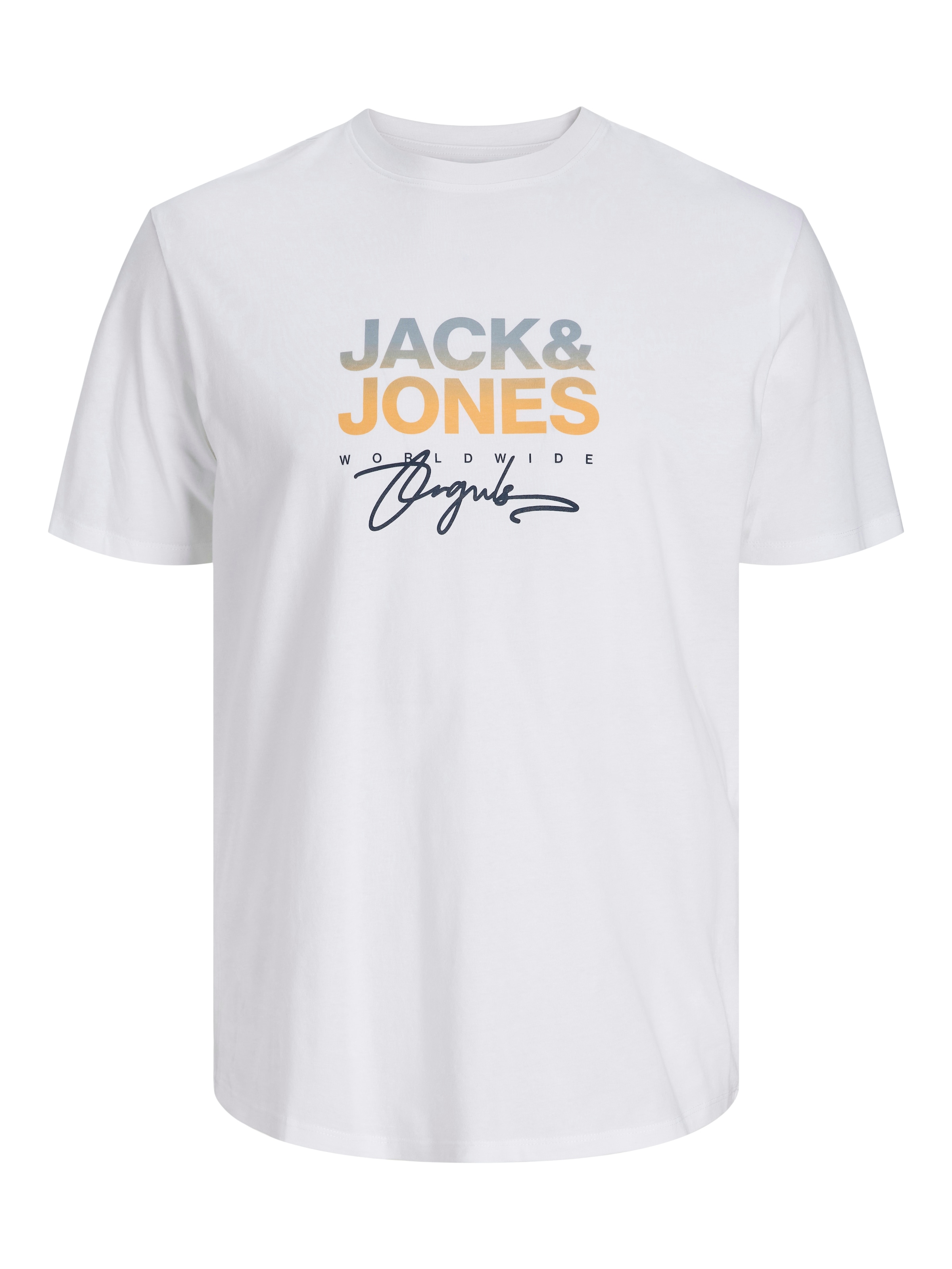 Jack & Jones PlusSize Print-Shirt »JORCANGGU TEE SS CREW NECK FST PLS«, mit Logo Print
