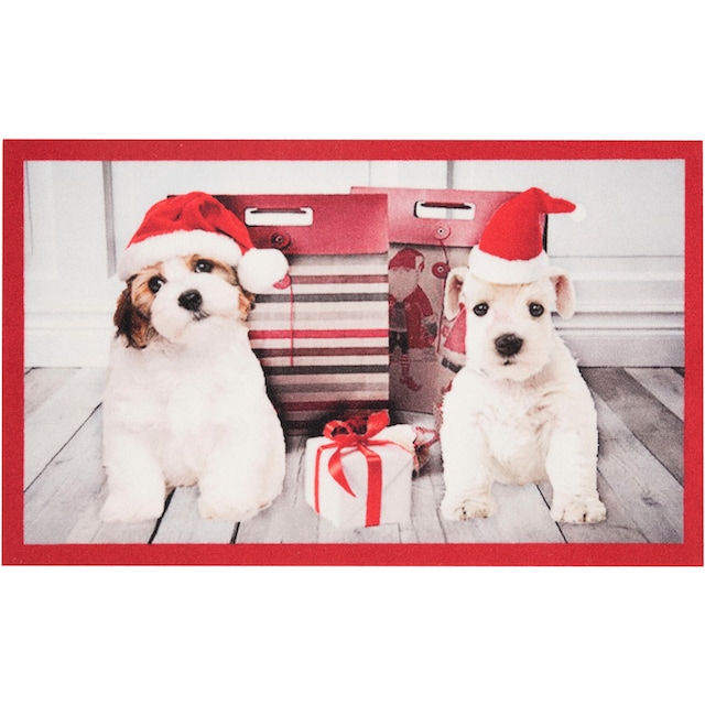 ❤ HANSE Home Fussmatte »Christmas Dogs«, rechteckig, 7 mm Höhe, In und  Outdoor geeignet, Tier Motiv, Pflegeleicht, Rutschfest, Weihnachten,  Waschbar ordern im Jelmoli-Online Shop