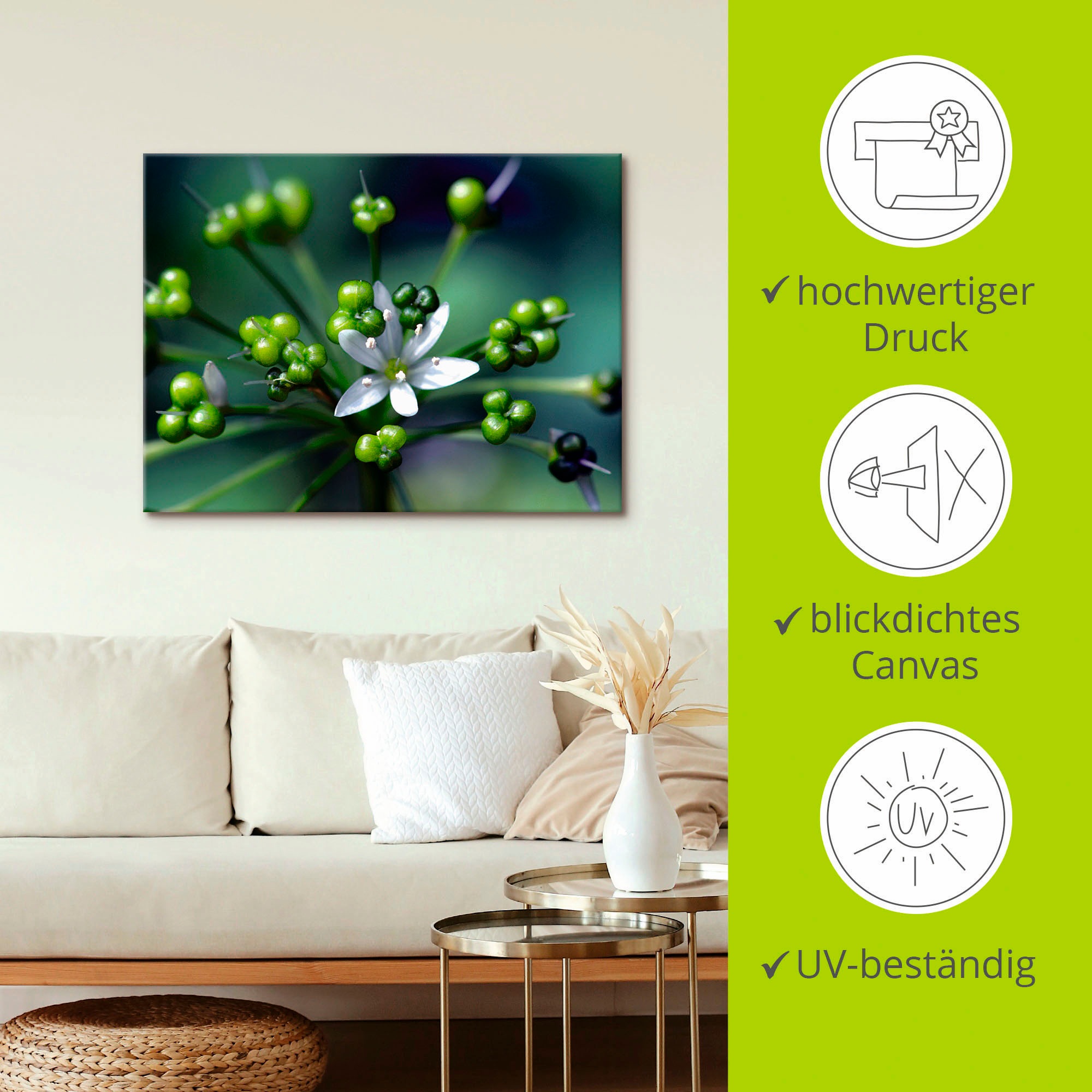 Artland Wandbild »Bärlauchblüte«, Blumen, (1 St.), als Leinwandbild, Poster in verschied. Grössen
