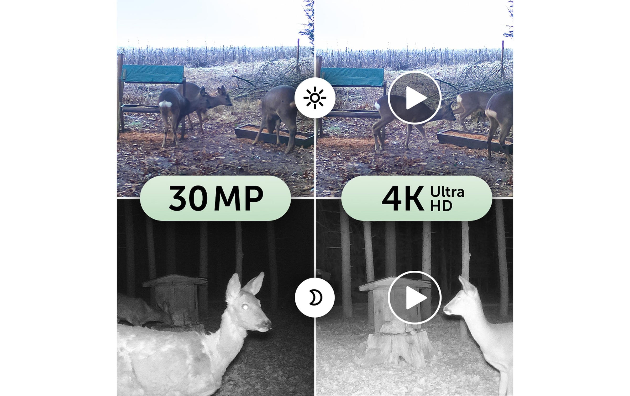 Wildkamera »Dörr Wildkamera SnapShot Mini Black 30MP 4K«, Aussenbereich