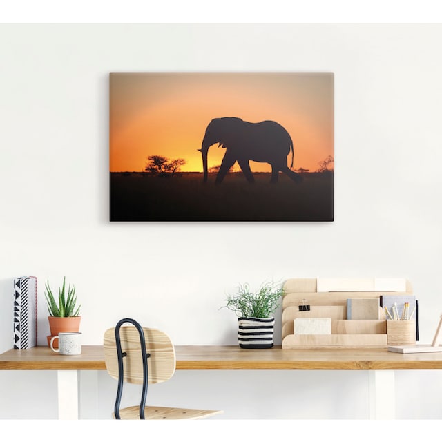 Artland Wandbild »Afrikanischer Elefant im Sonnenuntergang«, Wildtiere, (1  St.), als Alubild, Leinwandbild, Wandaufkleber oder Poster in versch.  Grössen online kaufen | Jelmoli-Versand