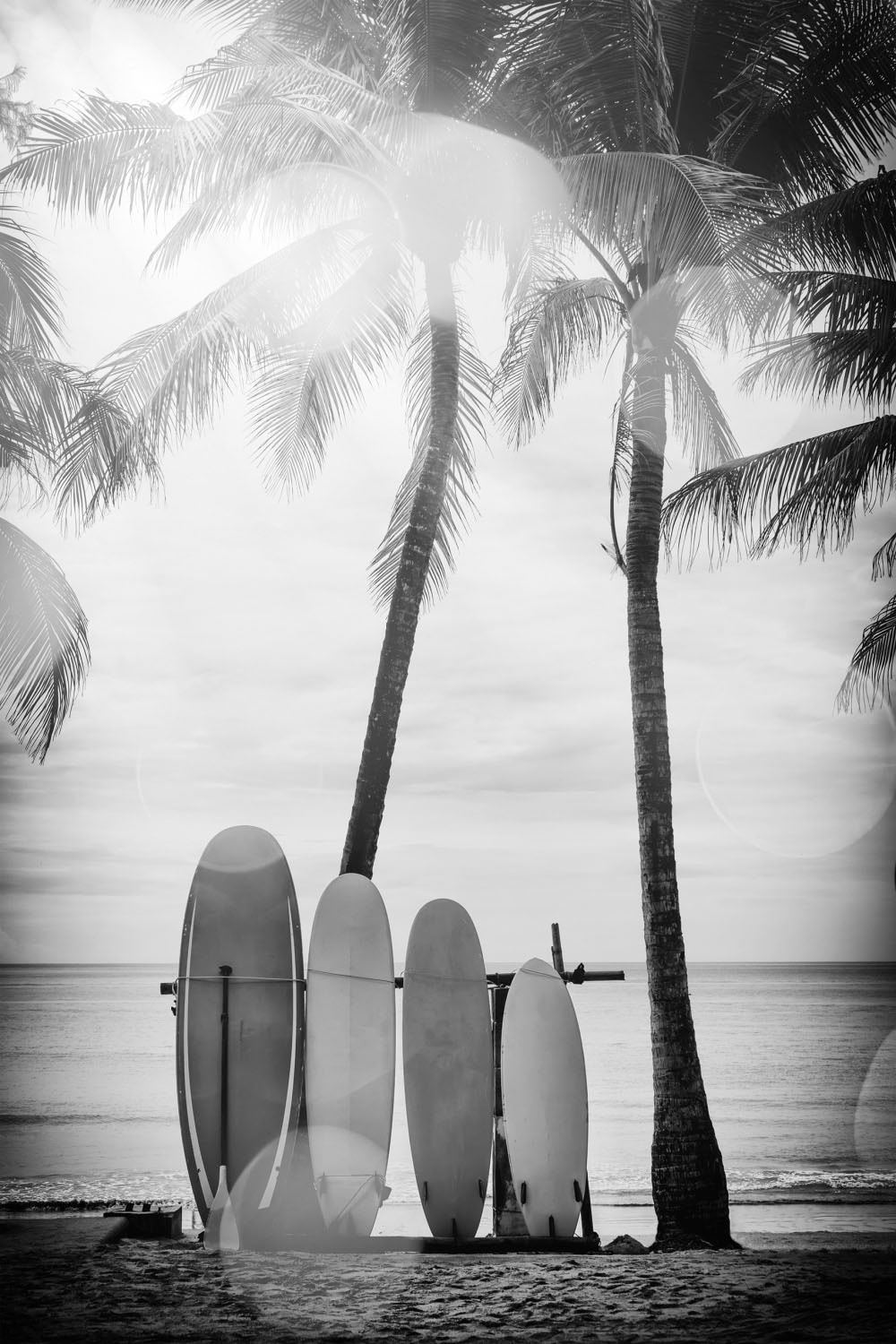 queence Acrylglasbild »Surfboards«, Kunst-Schwarz-Weiss-Strand-Palmen-Strandbilder, Fine Art-Print in Galeriequalität