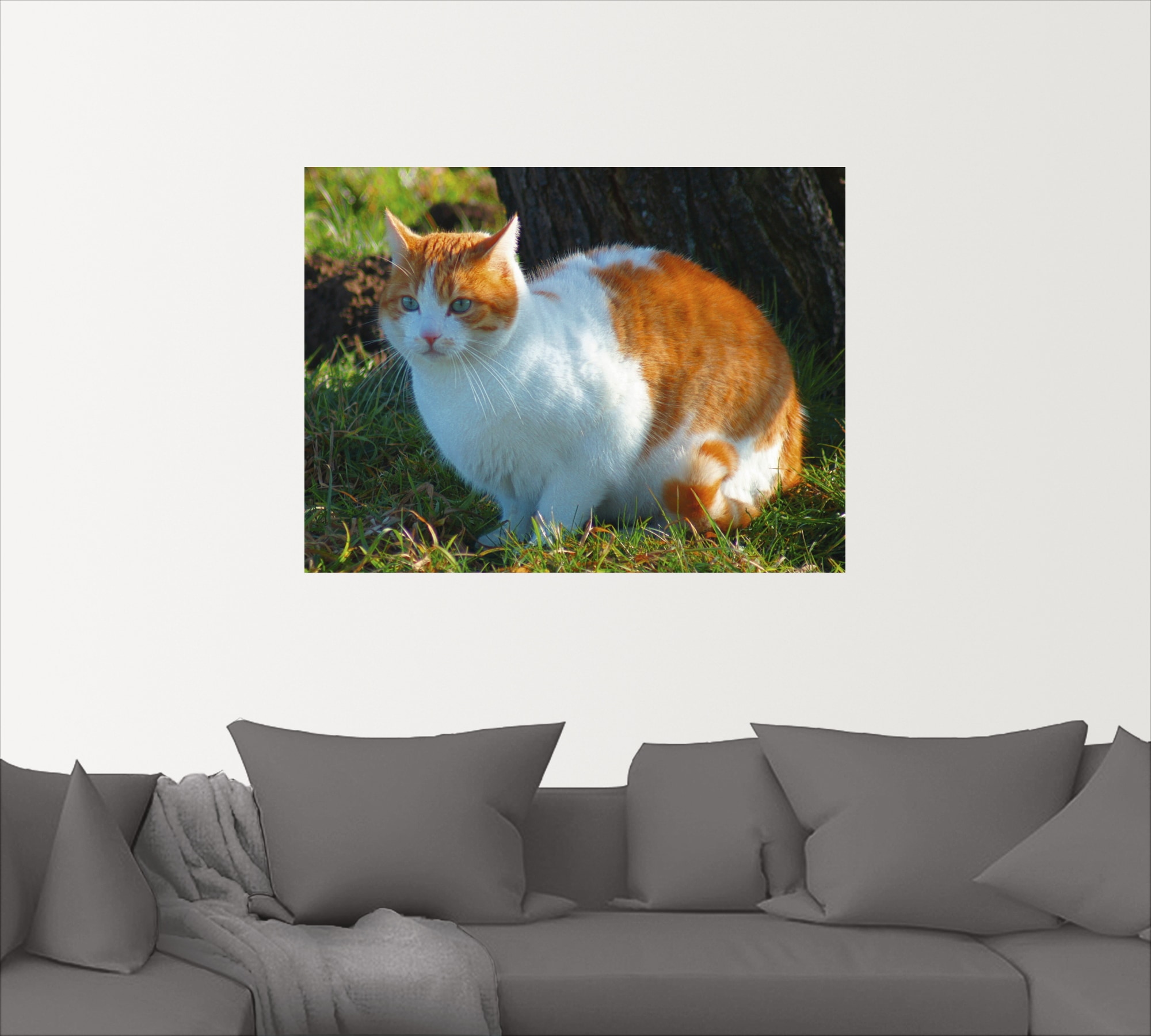 Artland Wandbild »Entspannte Katze«, kaufen Alubild, in Jelmoli-Versand | (1 Poster Grössen als versch. online St.), Haustiere, oder Leinwandbild, Wandaufkleber