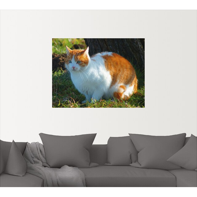 Artland Wandbild »Entspannte Katze«, Haustiere, (1 St.), als Alubild,  Leinwandbild, Wandaufkleber oder Poster in versch. Grössen online kaufen |  Jelmoli-Versand