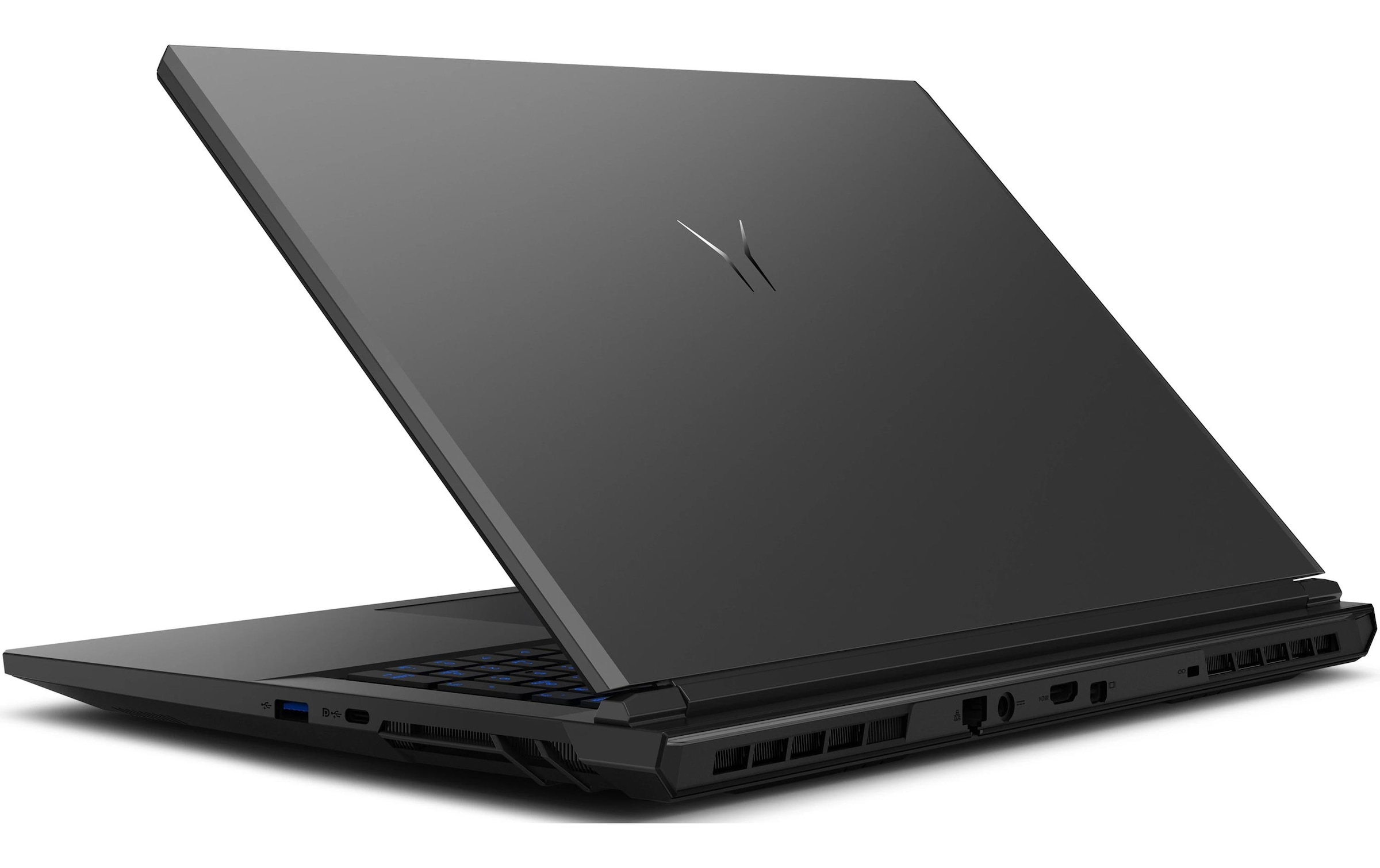 Notebook »Erazer Defender 17 P1 (MD62755)«, 43,942 cm, / 17,3 Zoll, Intel, Core 7, GeForce RTX