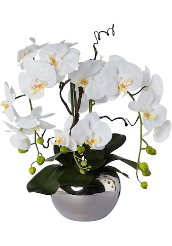 Kunstorchidee »Phalaenopsis«, im Keramiktopf