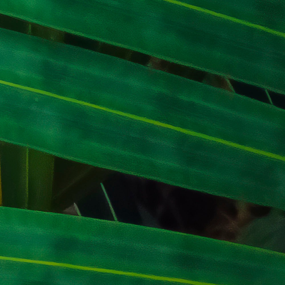 Komar Fototapete »Digitaldruck Vlies - Amazon Fern - Grösse 400 x 250 cm«, bedruckt, Wohnzimmer, Schlafzimmer