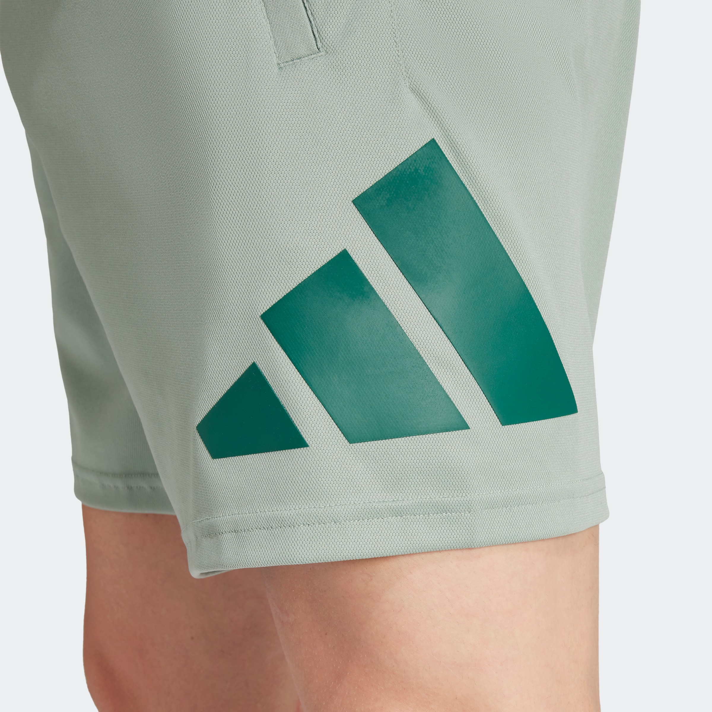 adidas Performance Shorts »TRAIN ESSENTIALS LOGO TRAINING«, (1 tlg.)