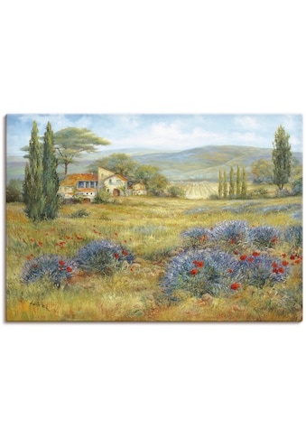 Leinwandbild »Provence Lavendelwiese«, Bilder von Europa, (1 St.)