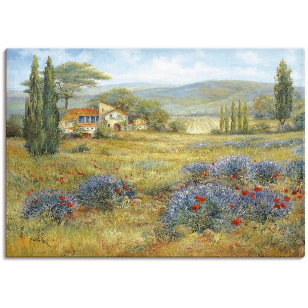Artland Leinwandbild »Provence Lavendelwiese«, Bilder von Europa, (1 St.)
