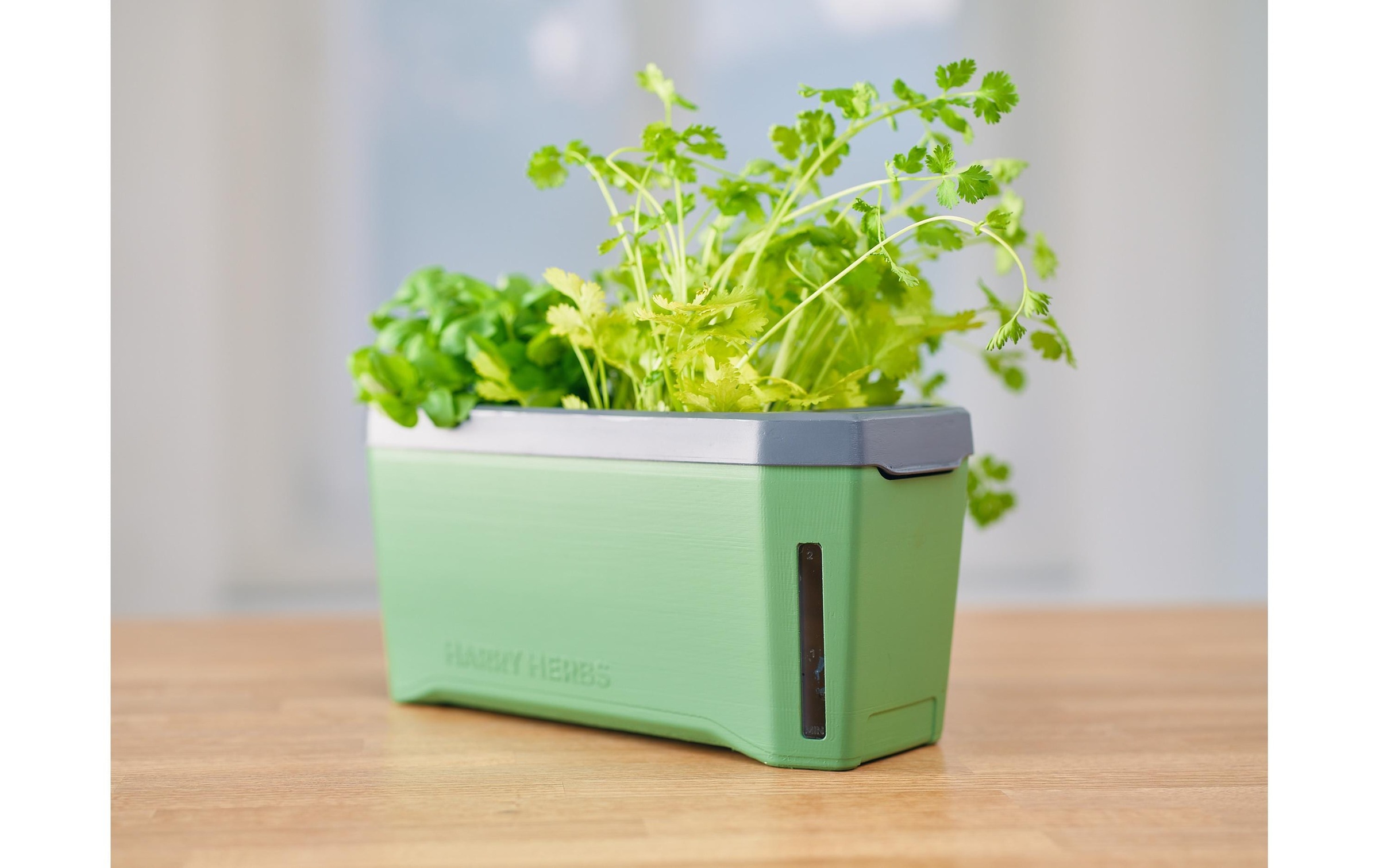 Gusta Garden Kräutertopf »HERBS dunkelgrün«, (1 St.)
