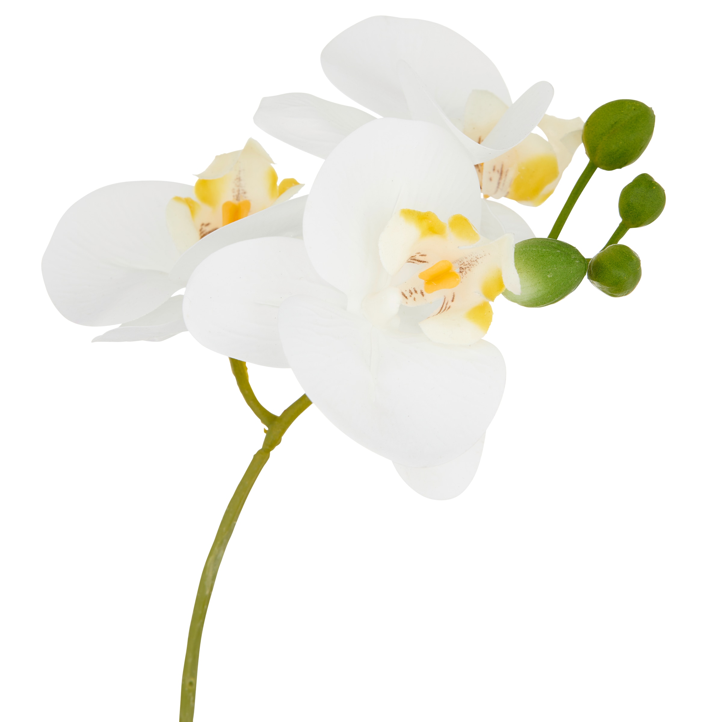Creativ green Kunstorchidee »Orchidee Phalaenopsis«, mit dauerhafter Blütenpracht