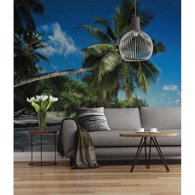 ❤ Komar Fototapete »Coconut Bay«, 368x254 cm (Breite x Höhe) bestellen im  Jelmoli-Online Shop