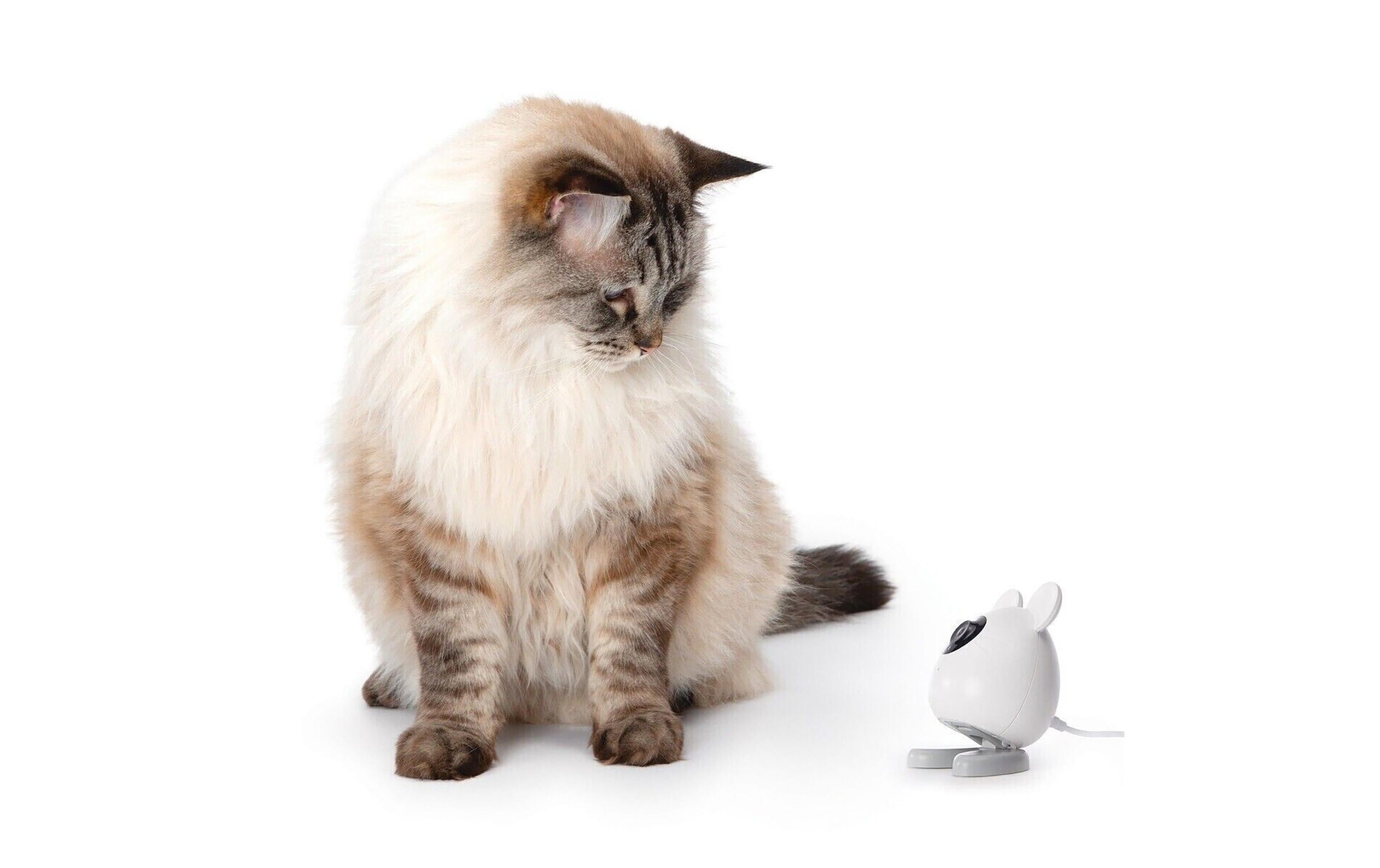 Catit Überwachungskamera "Pixi Smart Mouse Weiss" Innenbereich