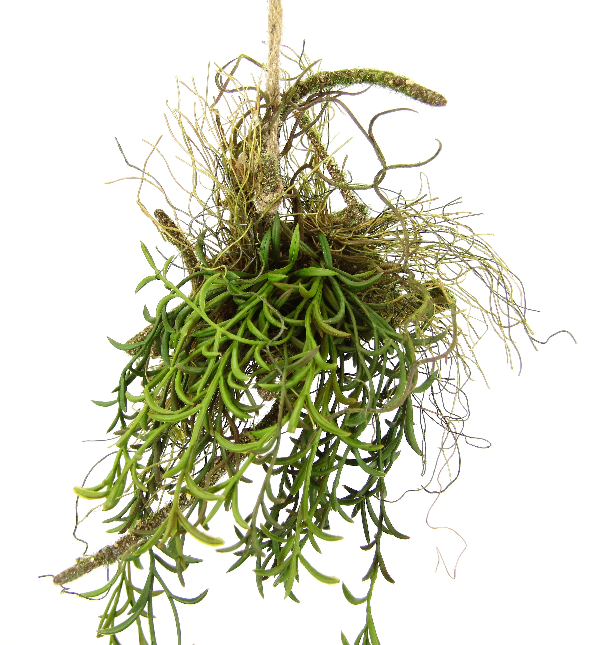 I.GE.A. Kunstpflanze »Tillandsia«, Hänger auf Ast Künstlicher Moos Hängeampel Kunstpflanze