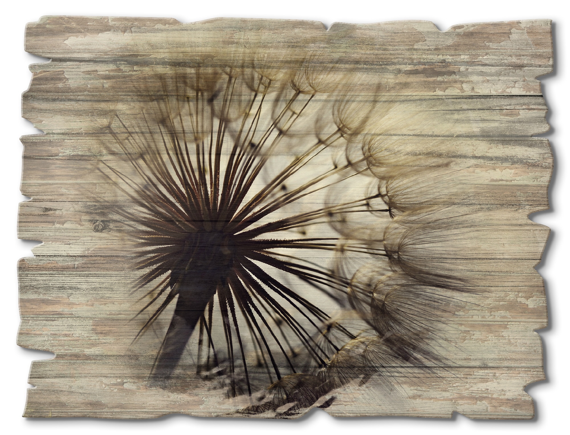 Artland Holzbild »Grosse Pusteblume«, Blumen, (1 St.)