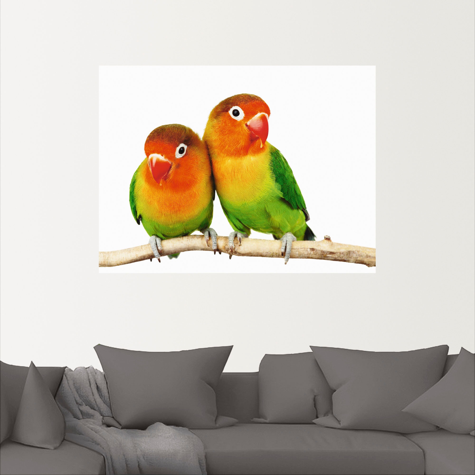 Artland Wandbild »Paar von Grauköpfchen - Papageien«, Vögel, (1 St.), als Leinwandbild, Poster, Wandaufkleber in verschied. Grössen