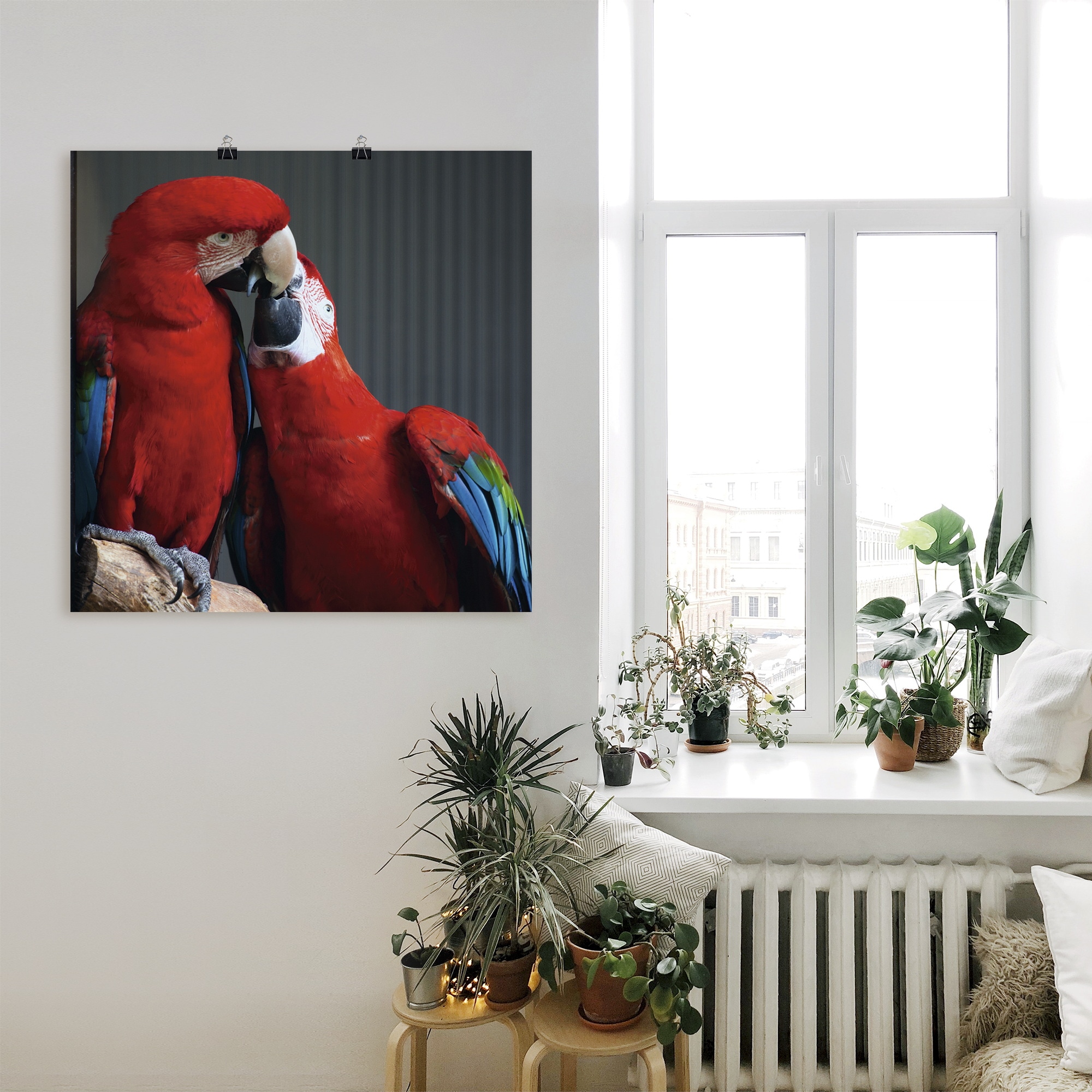Artland Wandbild »Papageien«, Vögel, (1 St.), als Alubild, Leinwandbild, Wandaufkleber oder Poster in versch. Grössen