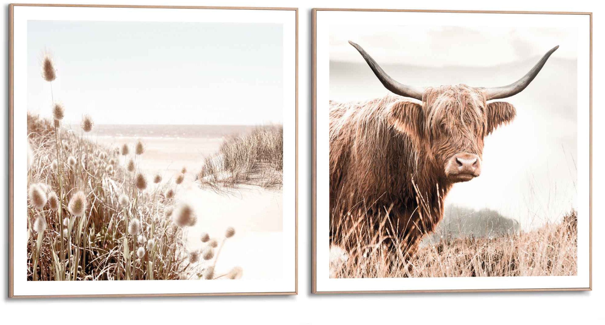 Reinders! Wandbild »Freie Natur Highlander - Kuh - Heide - Strand - Ruhe«, (2 St.)