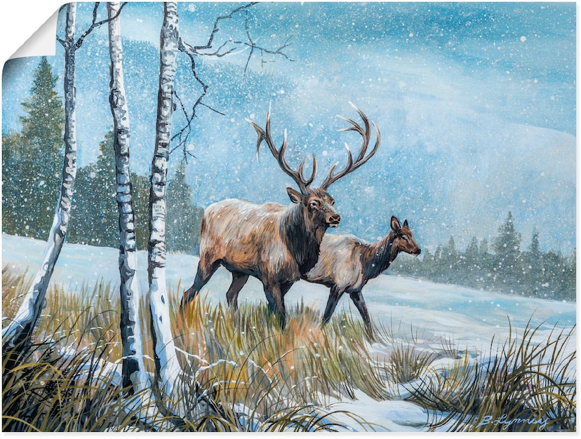 ❤ Reinders! Poster »Pferd im Schnee«, (1 St.) entdecken im Jelmoli-Online  Shop