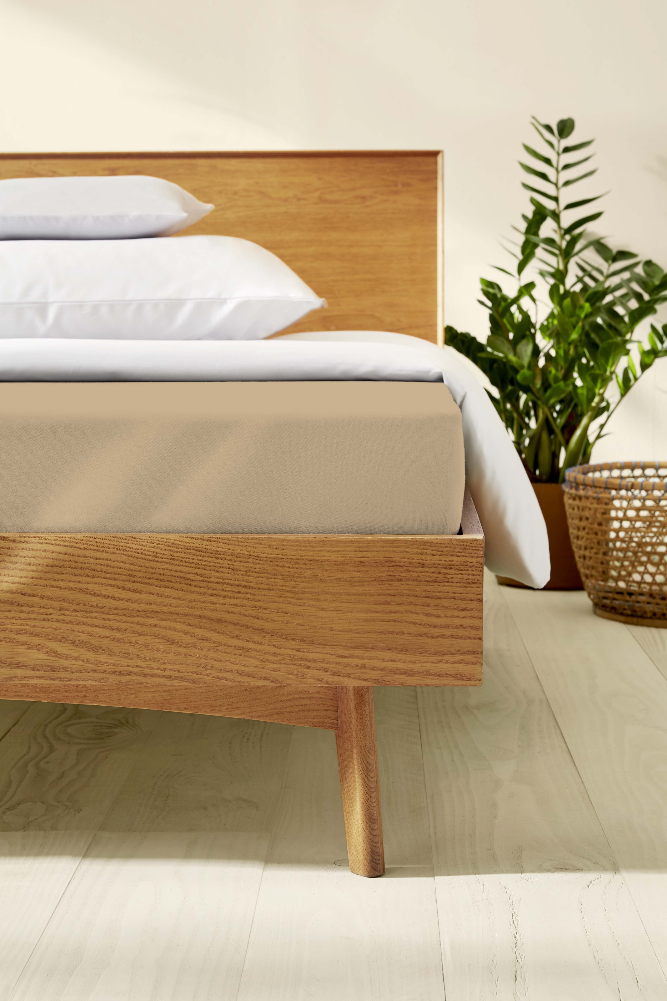 Kaeppel Spannbettlaken »Single Jersey Mako Cotton«, Bettlaken aus 100% Baumwolle