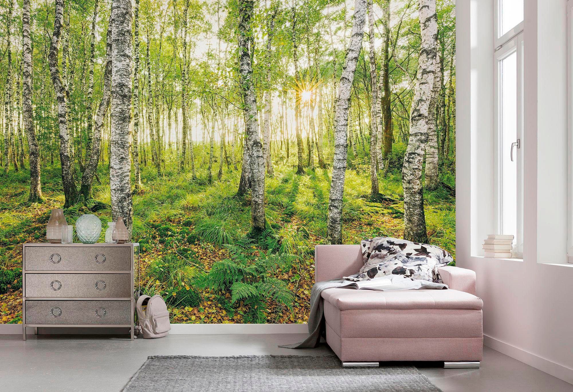 Komar Vliestapete »Digitaldruck Vlies - Birch Trees - Grösse 400 x 250 cm«, bedruckt, Wohnzimmer, Schlafzimmer