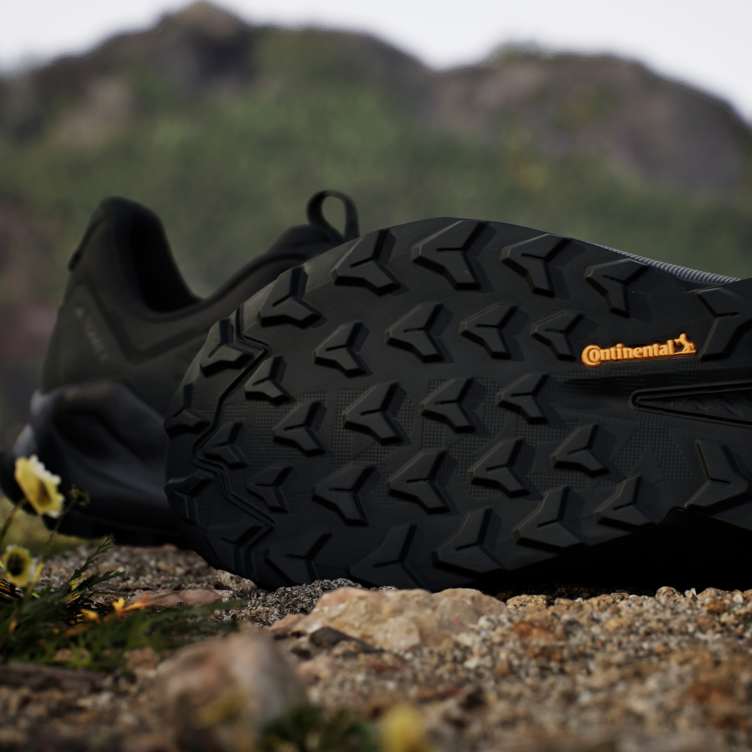 adidas TERREX Wanderschuh »TERREX TRAILMAKER 2.0 LEATHER«