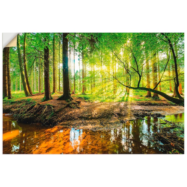 Artland Wandbild »Wald mit Bach«, Wald, (1 St.), als Alubild, Leinwandbild,  Wandaufkleber oder Poster in versch. Grössen online kaufen | Jelmoli-Versand