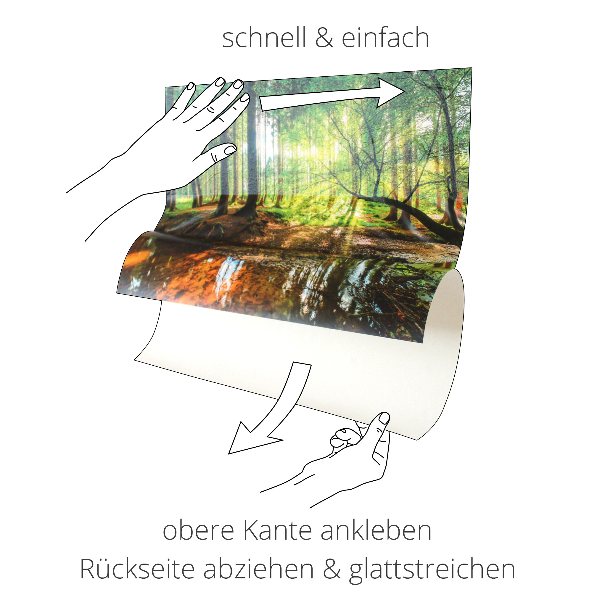 Artland Wandfolie »Niedliches Ferkel«, Haustiere, (1 St.), selbstklebend