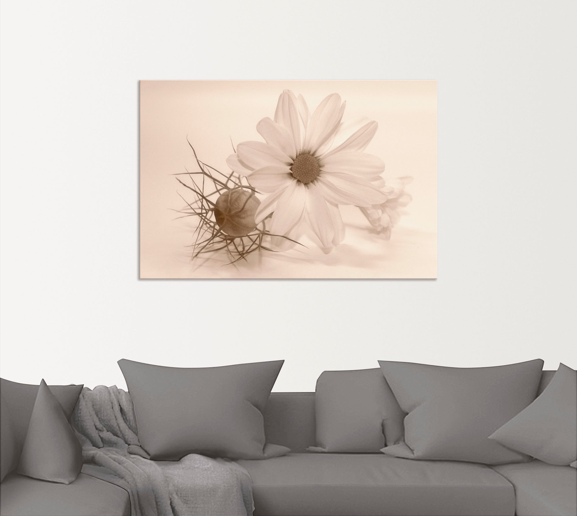 Artland Wandbild »Chrysantheme«, Blumen, (1 St.), als Alubild, Outdoorbild, Poster in verschied. Grössen