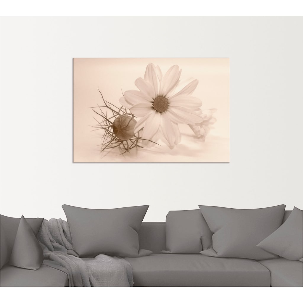 Artland Wandbild »Chrysantheme«, Blumen, (1 St.)