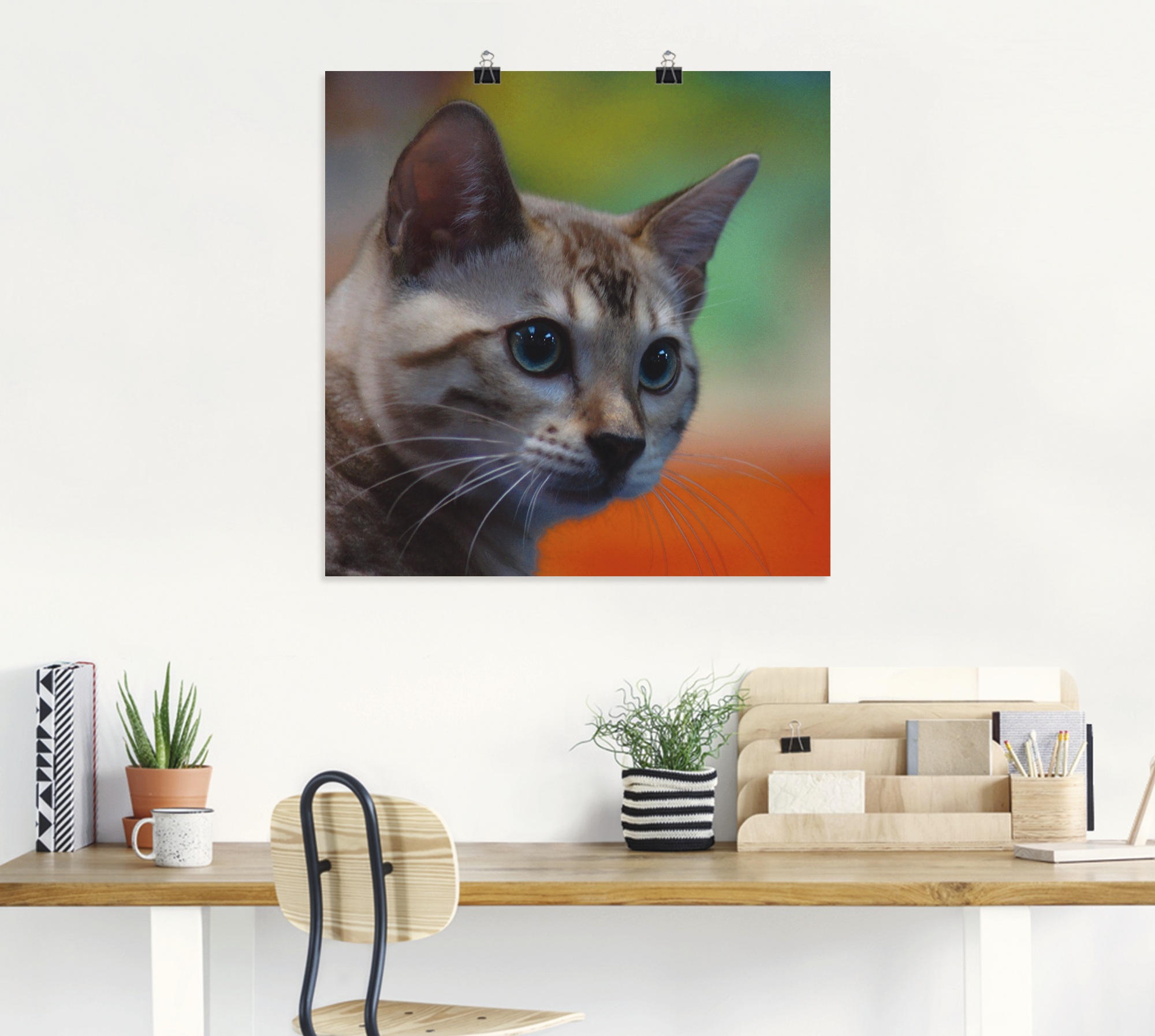 Artland Wandbild »Weisse Bengalkatze«, Haustiere, (1 St.), als Alubild, Leinwandbild, Wandaufkleber oder Poster in versch. Grössen