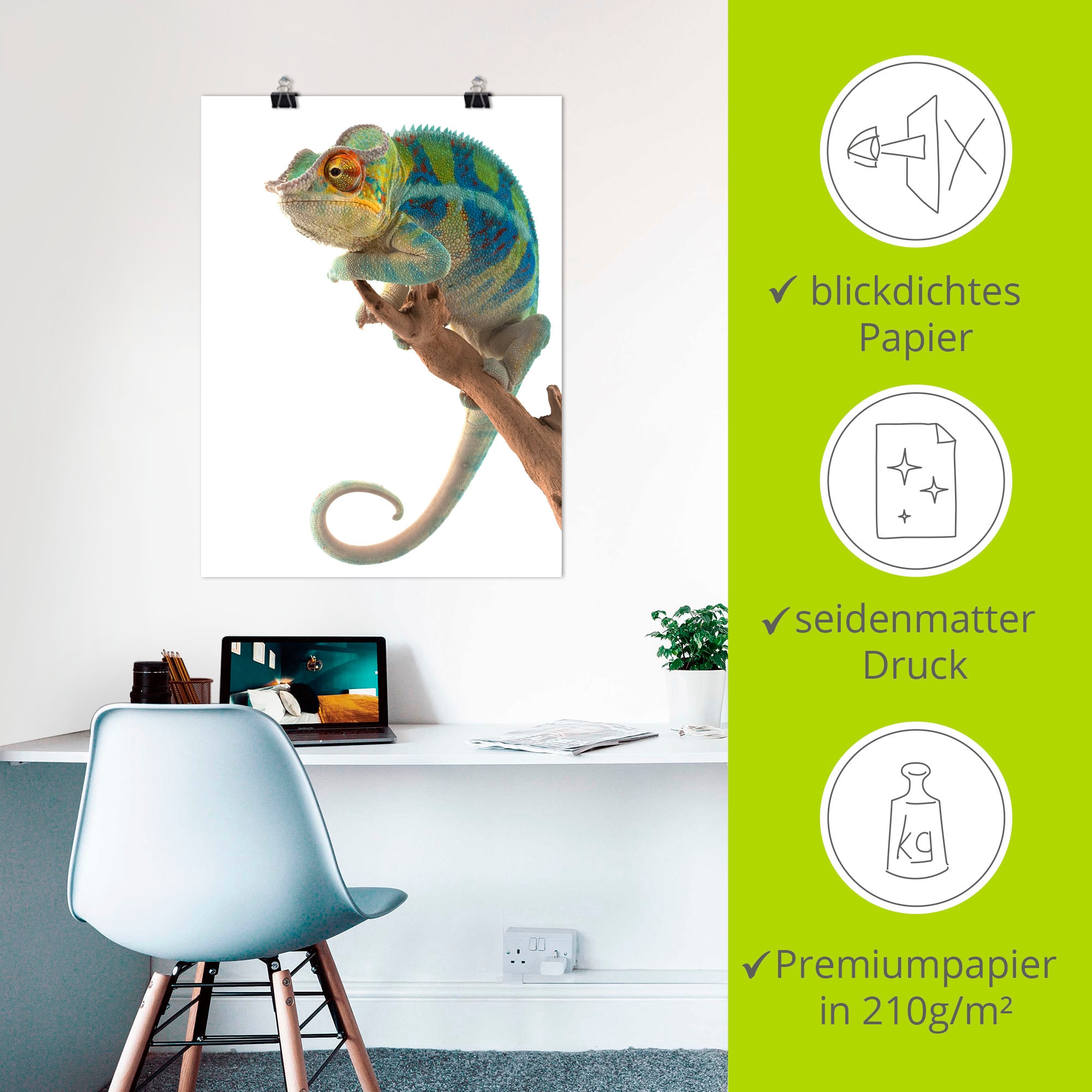 Artland Wandbild »Ambanja Panther Chamäleon«, Reptilien, (1 St.), als Leinwandbild, Poster in verschied. Grössen