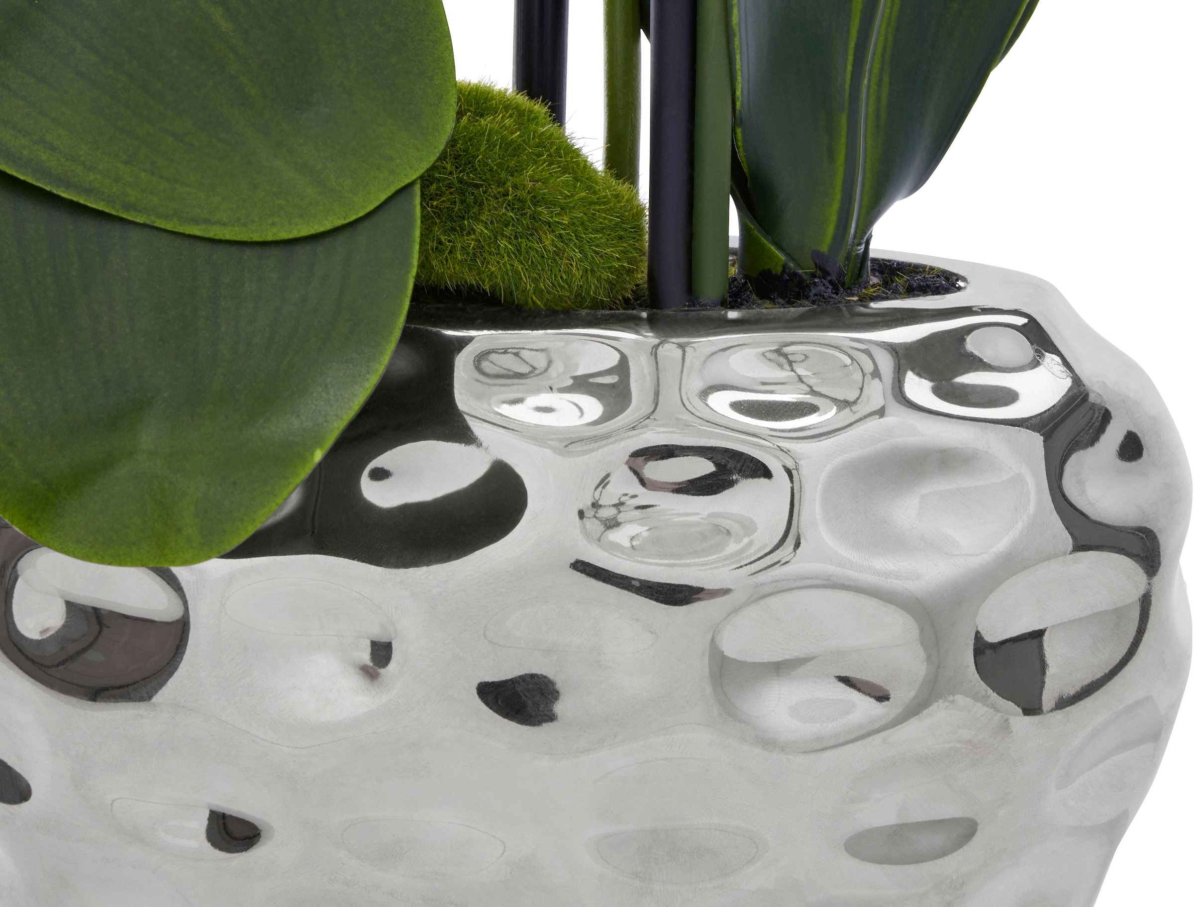 Creativ green Kunstpflanze »Orchidee« online shoppen | Jelmoli-Versand